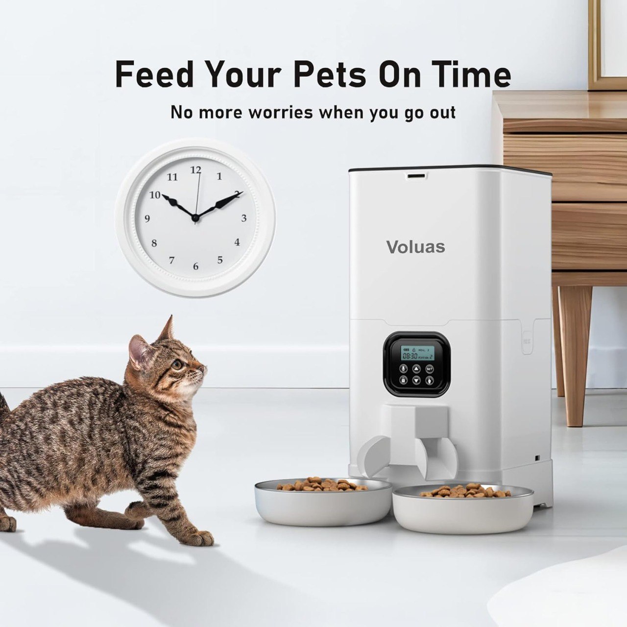 Voluas 6L Dual Automatic Cat Feeder with Stainless Steel Bowls