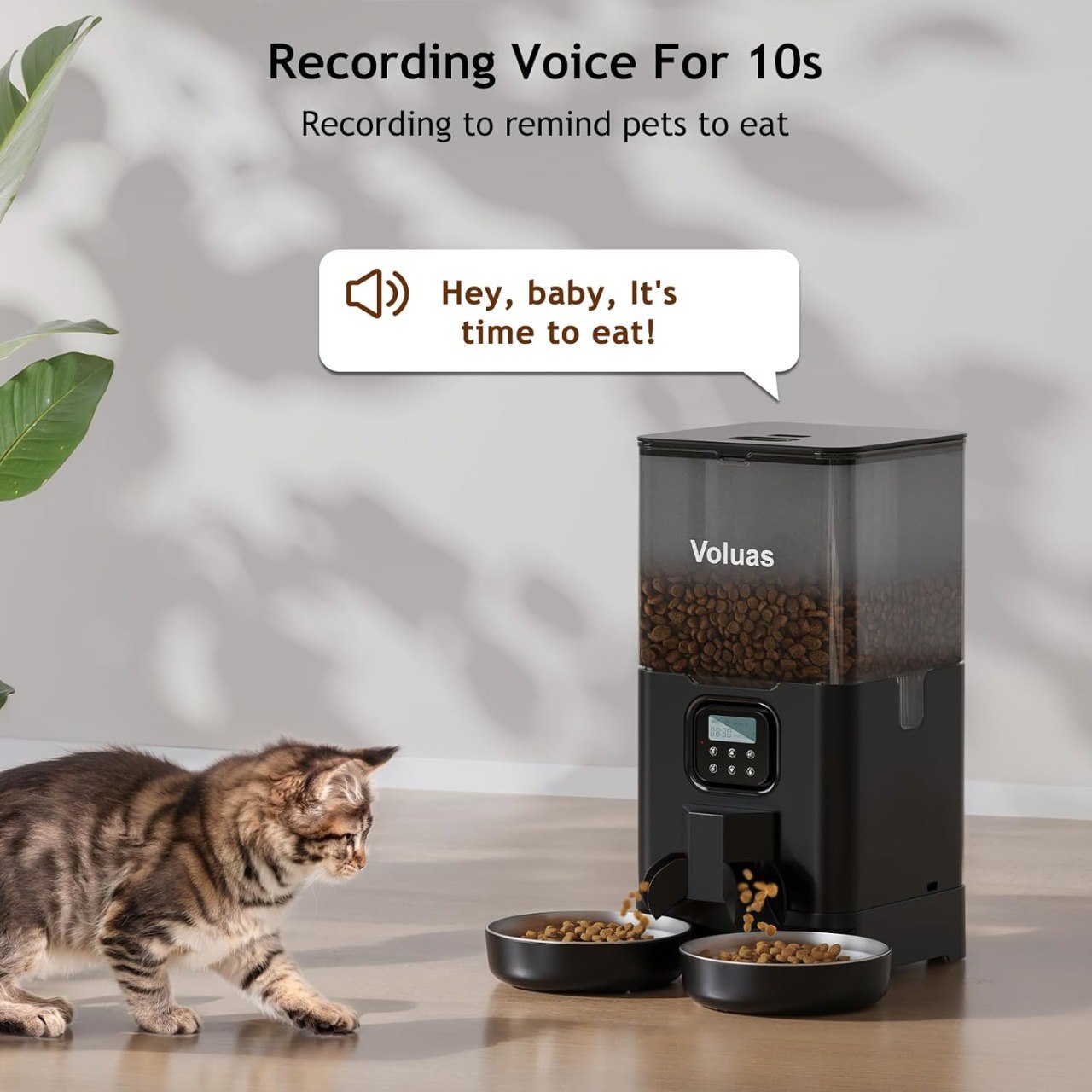 Voluas 6L Dual Automatic Cat Feeder with Stainless Steel Bowls